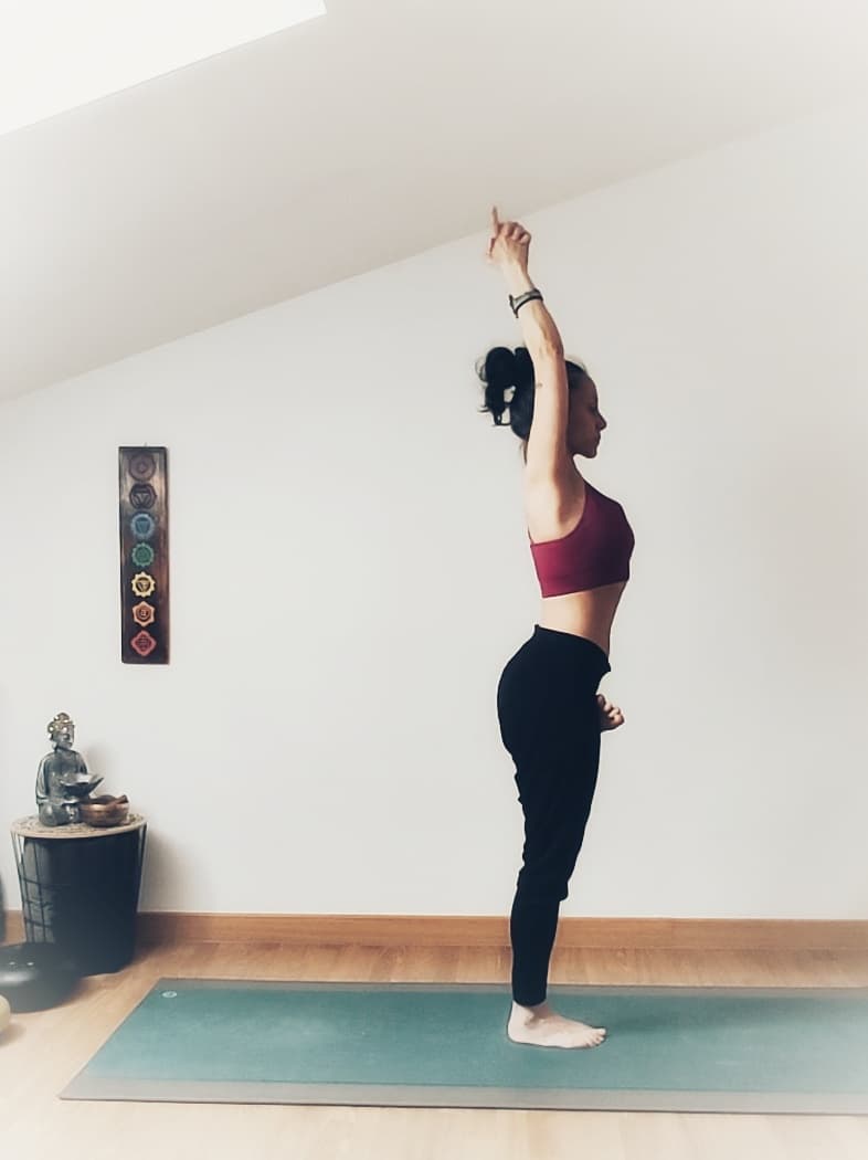 Escuela de Yoga y Ayurveda. La Voluntad del Alma