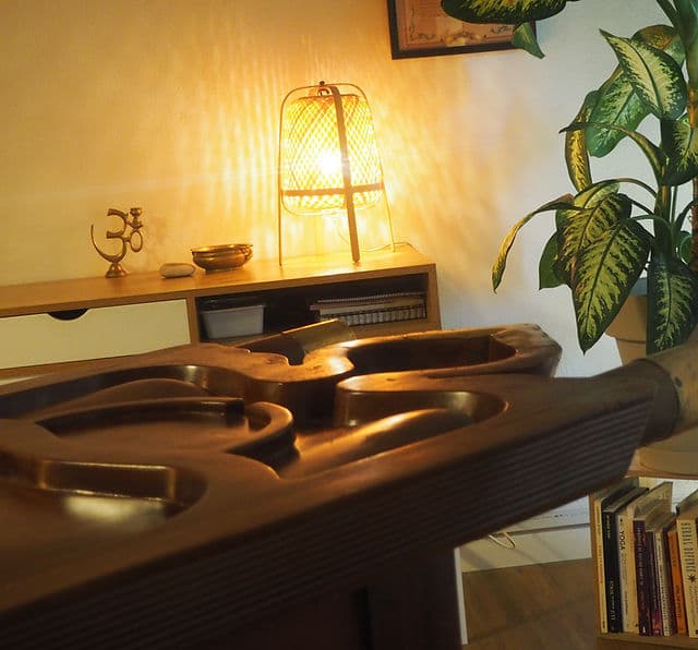 TAPOVAN AYURVEDA Masajes y Reflexología Podal