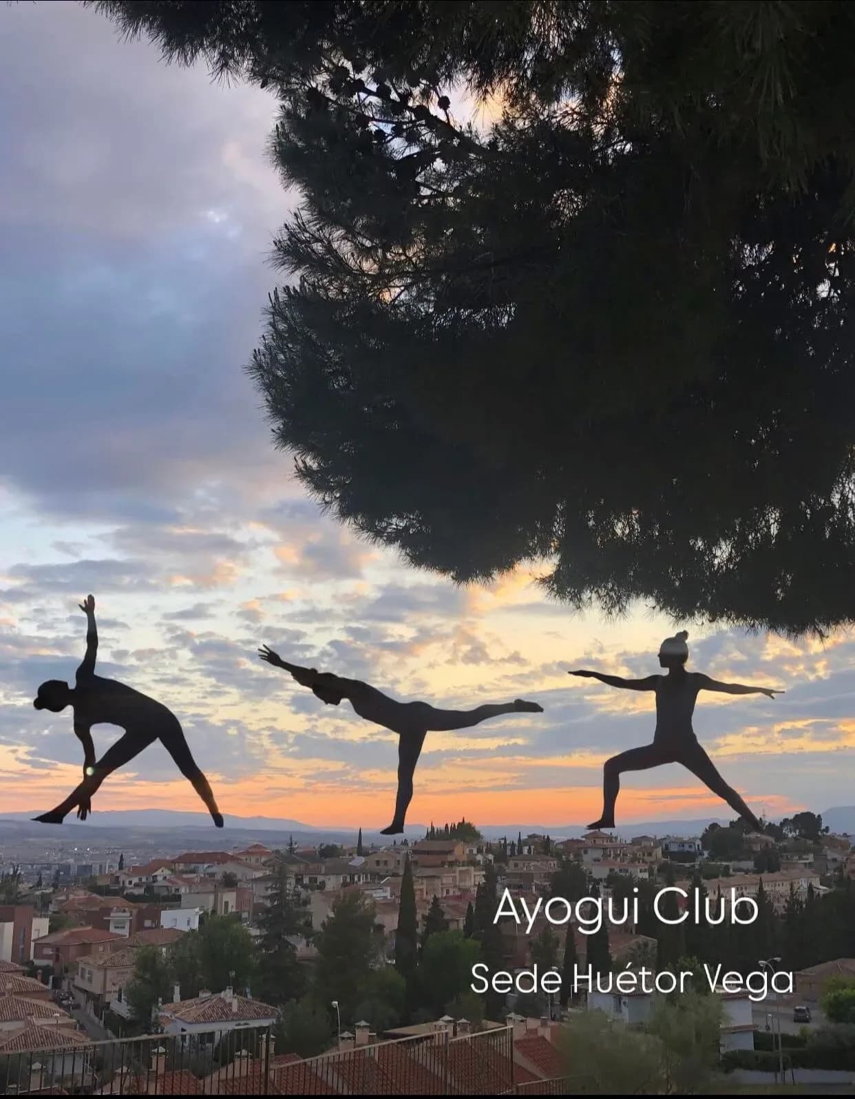 Centro de Yoga Comunidad Ayogui Club