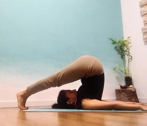 Yoqui Yemayá Yoga Aeroyoga Desarrollo