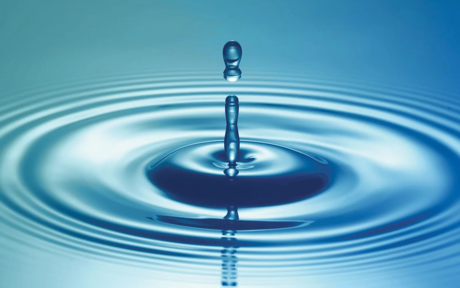 Área Esencial Centro de Psicología y Mindfulness
