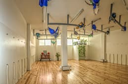 Yoga Aéreo Malaga - Yogāsana Estudio