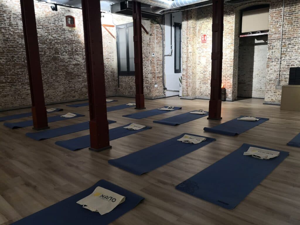 Xano Pilates & Yoga