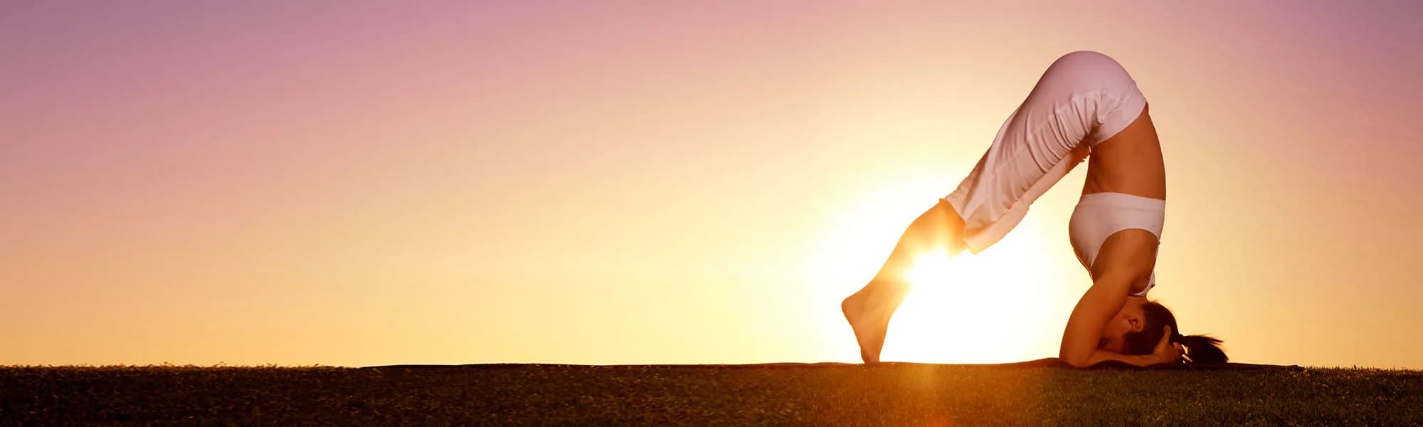 Escuela Internacional de Yoga