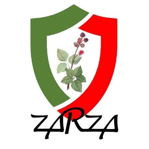 Zarza