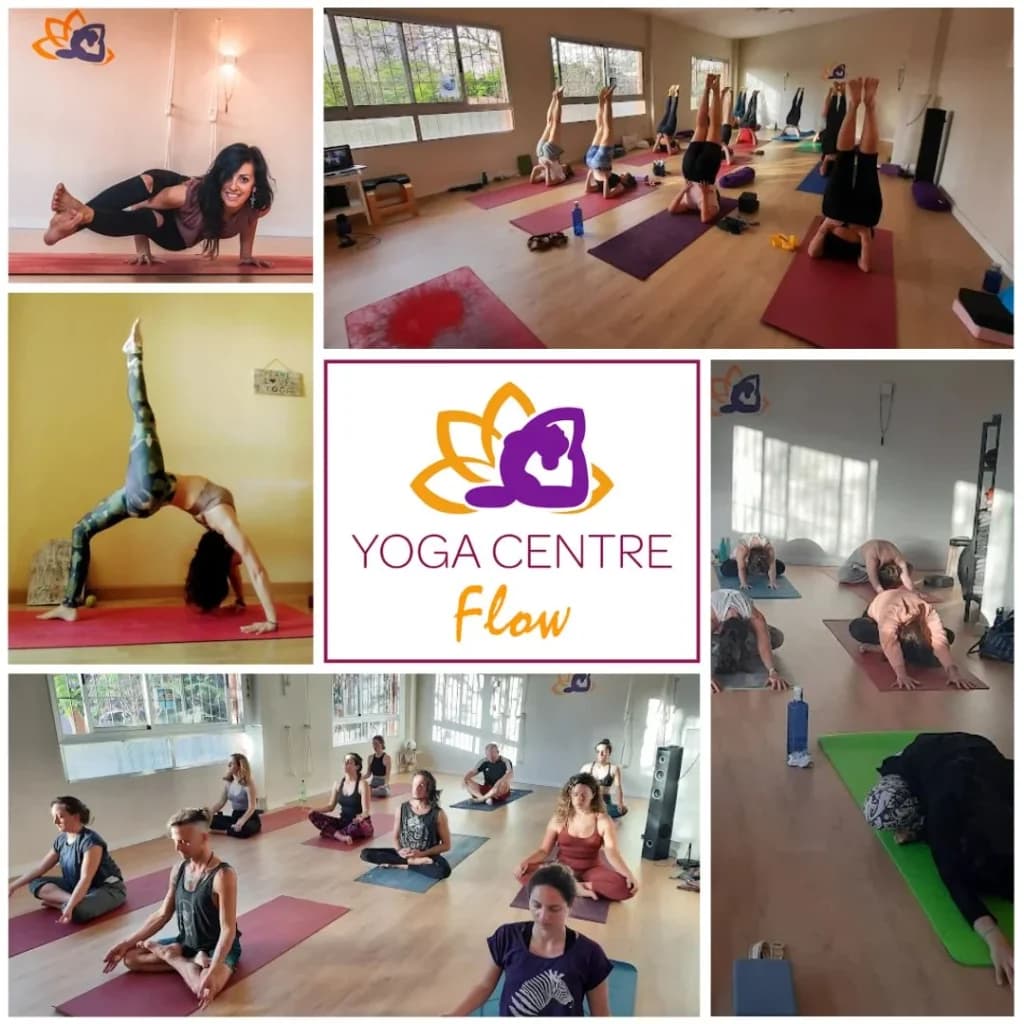 Yoga Centre Flow
