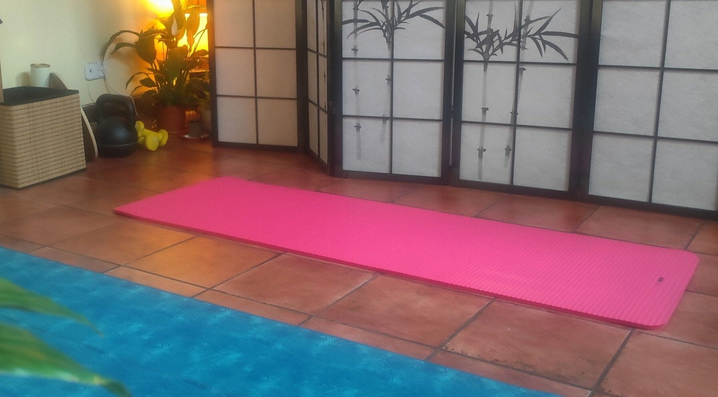 Amantes del Yoga