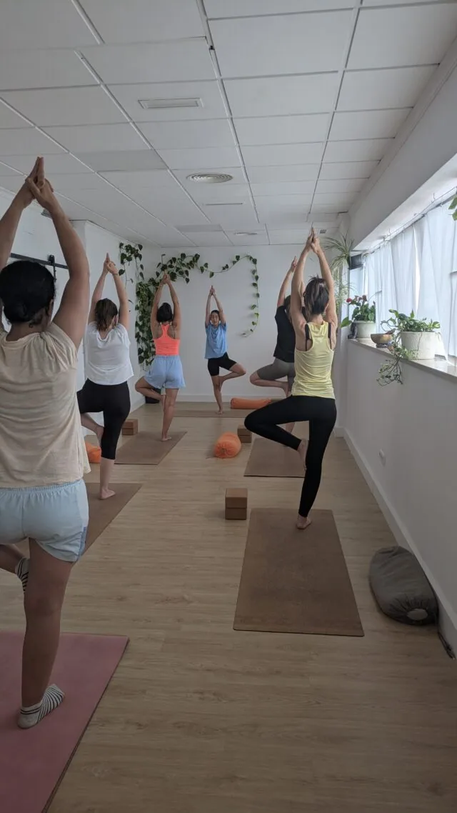Taronja Wellbeing Centre - Yoga, Pilates, Quiromasaje, Formación 200h profesora de yoga