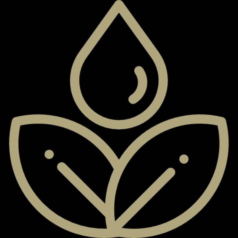 Alma y Tierra | Herbolario | Centro de Terapias naturales y Yoga