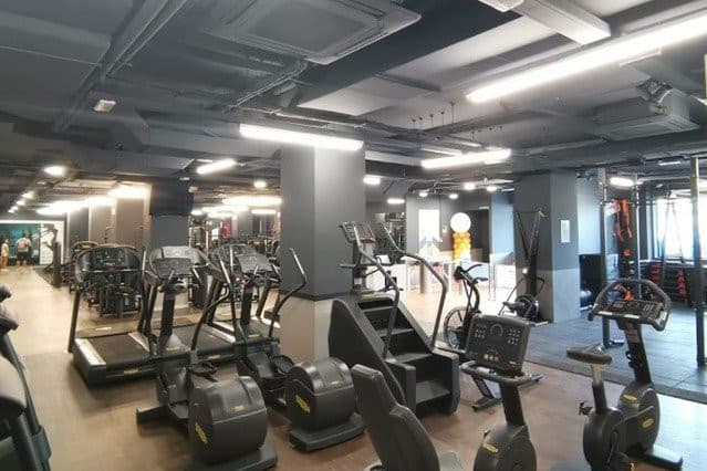 Synergym Vitoria Borinbizkarra