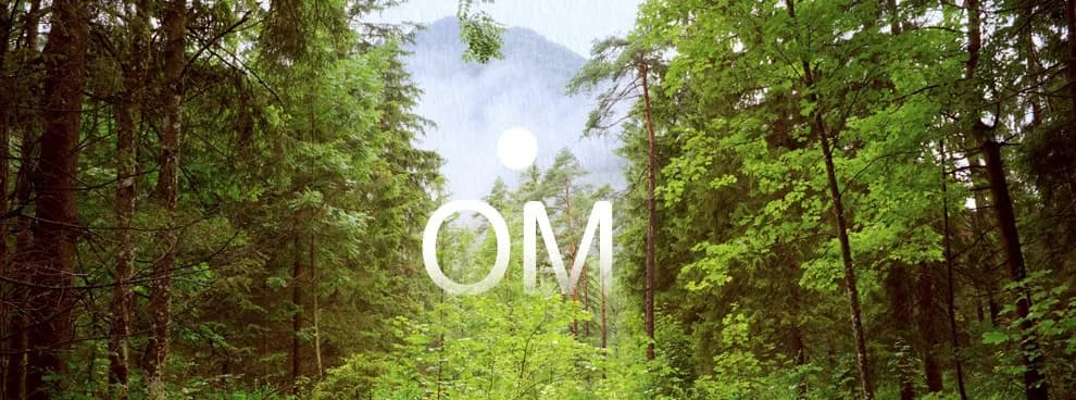 ESCUELA DE YOGA OM