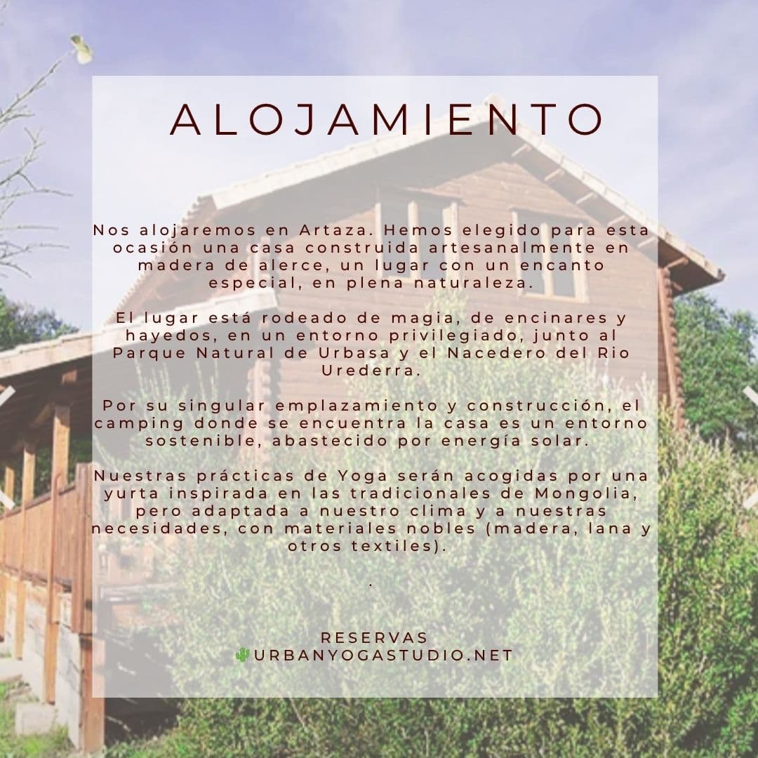 Celebrando la luz — photo 4