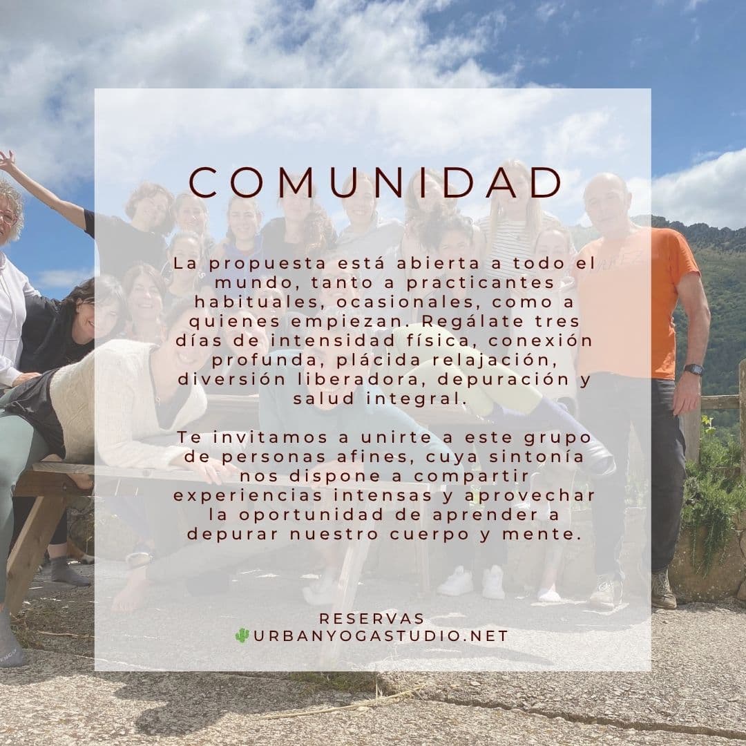 Celebrando la luz — photo 8
