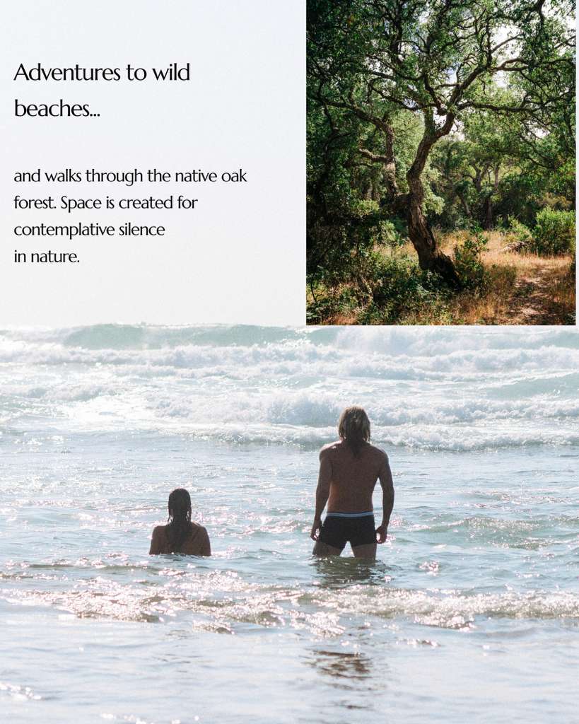 The Course of Transformation — foto 4