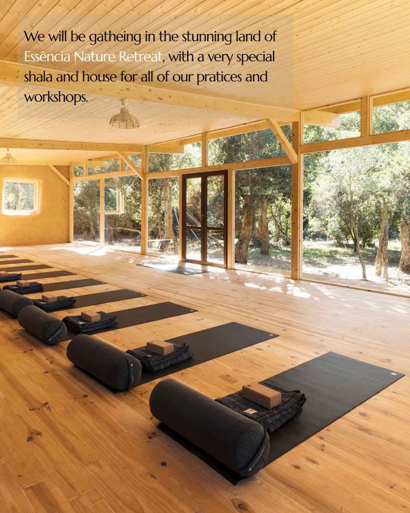 The Course of Transformation — foto 5