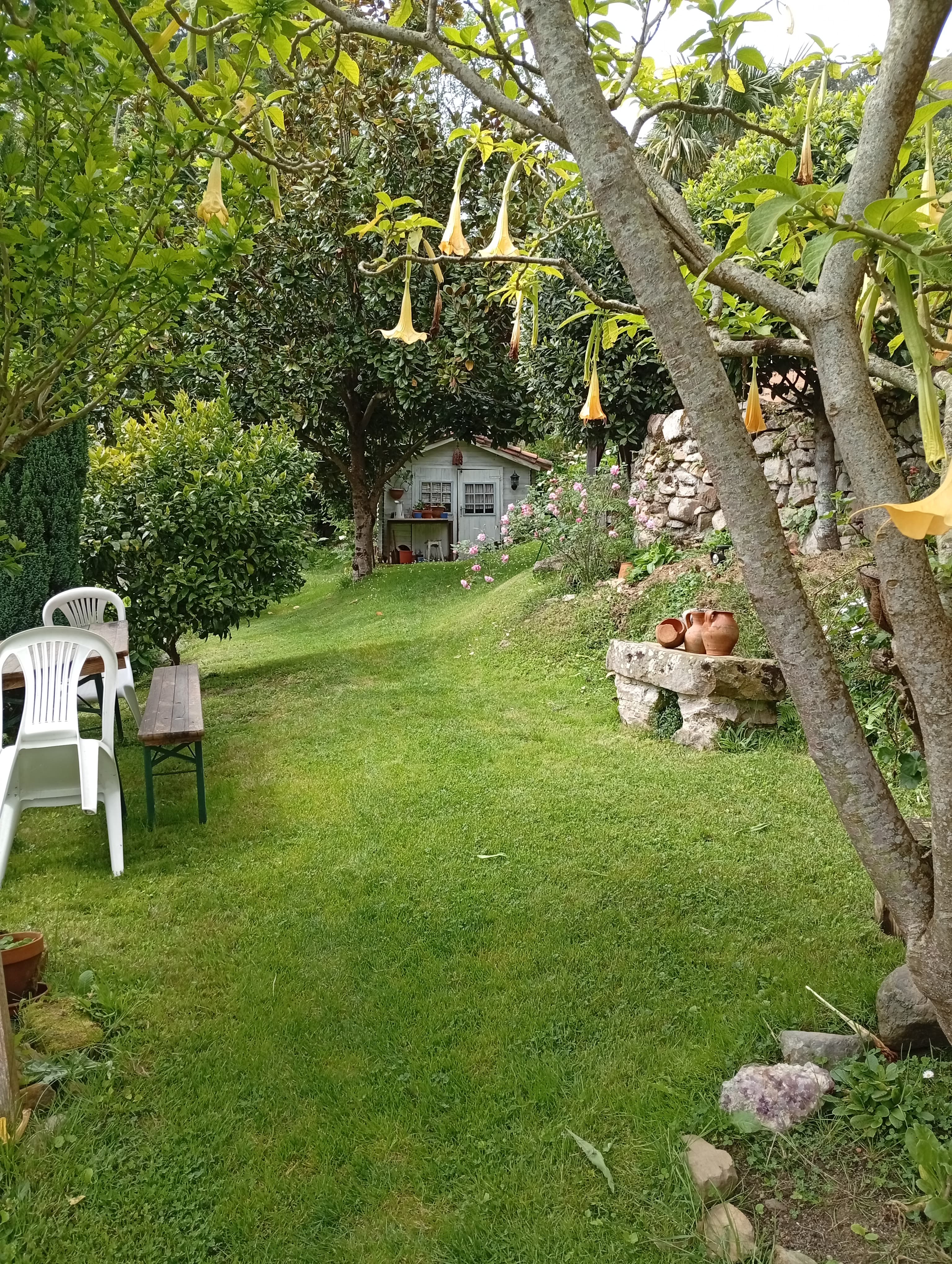 Art and calm retreat — photo 4